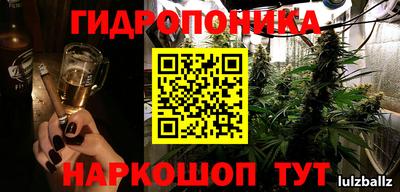 тгк Новозыбков
