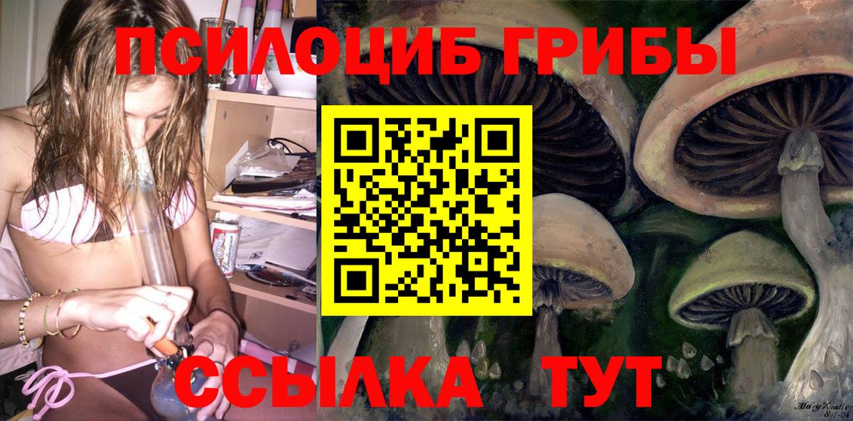 Псилоцибиновые грибы Psilocybine cubensis Феодосия